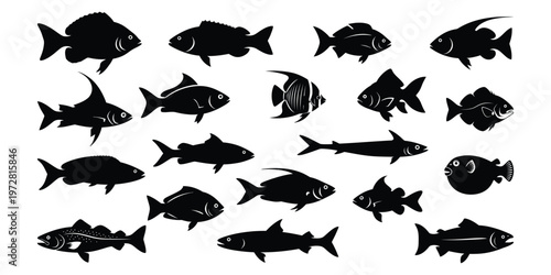 Collection of silhouetted fish a black and white aquatic illustration