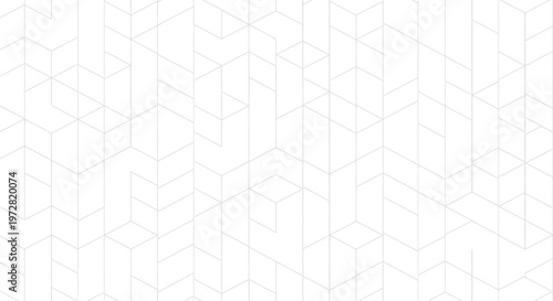 White minimalist geometric pattern with abstract thin gray lines