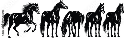 Set of Five Detailed Black Horse Silhouette Vector Illustrations Featuring Graceful Poses Like Running Galloping and Grazing Isolated on a Plain White Background