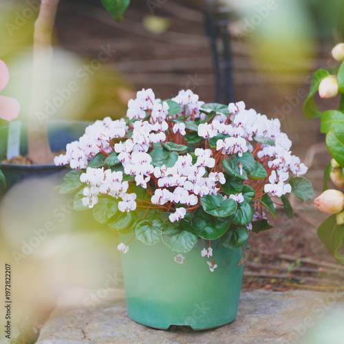 ガーデンイング 花プランター