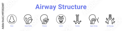 -Airway Structure web icons in banners and collections