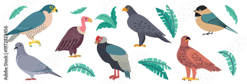 Mountain birds and birds of prey set in flat hand-drawn style. Vector illustration of eagle, falcon, vulture, condor, pigeon, and small songbird with tropical leaves for nature education, wildlife des