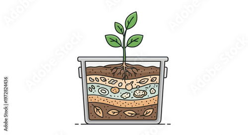 Small green plant in pot soil.
