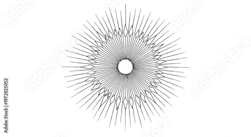 A black and white illustration of a spiky circular object.