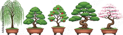 Variety of bonsai trees collection different styles and species miniature plants decorative gardening vector illustration set