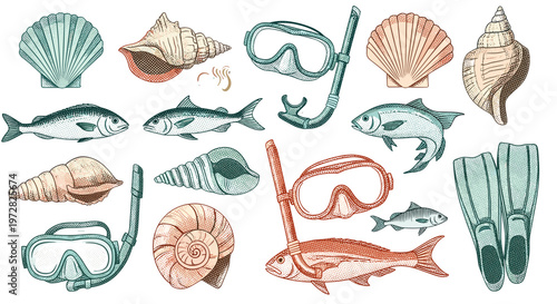 Hand drawn underwater world collection seashells fish snorkel gear and flippers