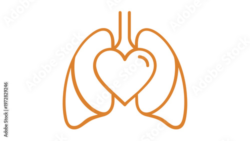 Minimalist orange line art vector icon illustration of human lungs and heart, representing respiratory and cardiovascular systems for medical, healthcare, anatomy, and wellness projects.