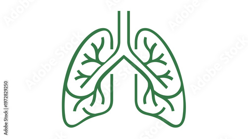 Green minimalist human lungs vector icon illustration for medical and healthcare concepts, respiratory system anatomy line art design, scalable flat graphic for biology and wellness education.