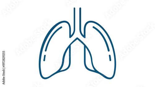 Human lungs vector icon illustration featuring a minimalist blue line art design of the respiratory system. Ideal for medical healthcare, anatomy education, and wellness apps. AI-generated.