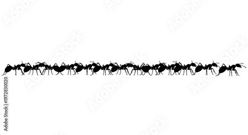 Silhouette of ants marching in a line against a white background