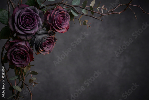 Dark purple roses on a moody background