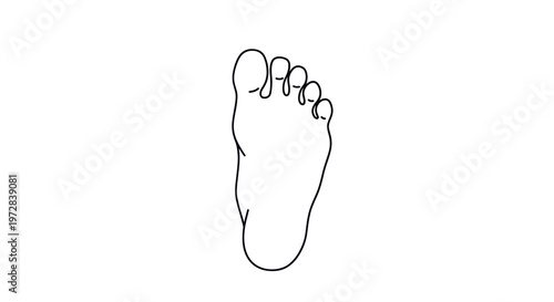 Minimalist Line Art of a Human Foot, Simple Outline, Isolated on White Background