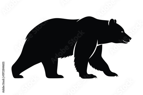 Black silhouette of a bear walking on all fours