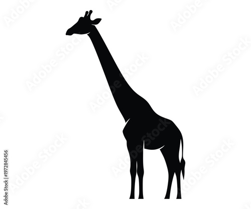 Title silhouette of a giraffe a majestic african animal in black and white description a striking black silhouette depicts a giraffe standing