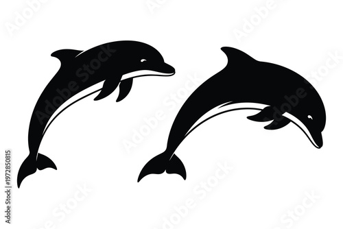Title two dolphins leaping a black and white illustration of marine mammals in motion description a simple black and white illustration depicts