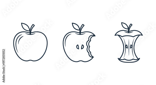 Three apple icons showing fruit from whole to core in outline style