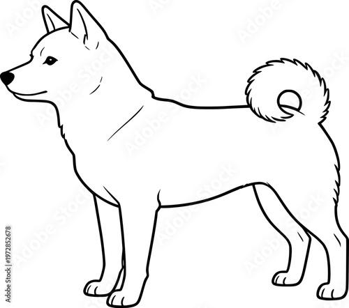 vector image of a shiba inu dog