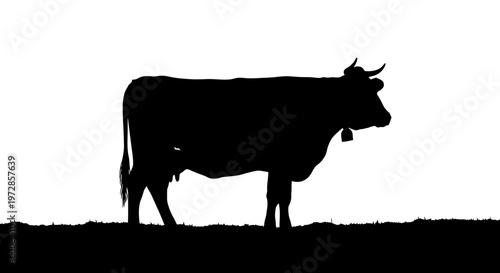 Cow Silhouette in Pasture: A simple silhouette of a cow stands in a pasture against a subtle background, exuding a sense of rural serenity and agricultural themes.