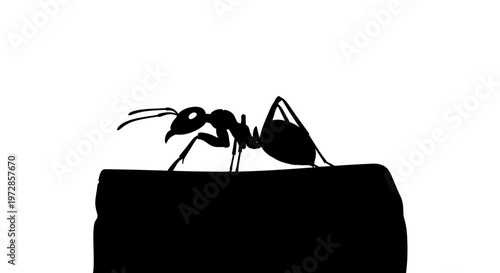 Ant Silhouette: A stark black ant silhouette is depicted on a surface, the image focuses on the details of the insect's form.