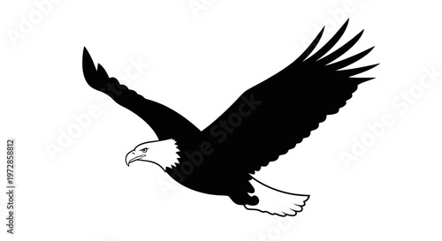 Majestic Bald Eagle Flying Silhouette, Symbol of Freedom and Power, White Background