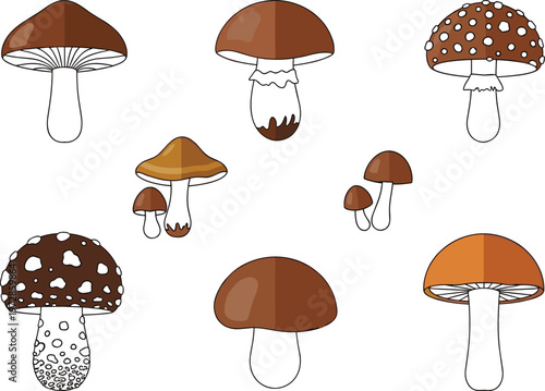 Collection of mushroom illustrations with different forest fungi types, simple hand drawn toadstools for nature, botany, and organic food design vector set