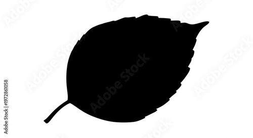 Silhouette of a Leaf: A sleek, contrasting silhouette of a single leaf, its organic shape sharply defined, evokes the purity and essential form of the natural world.