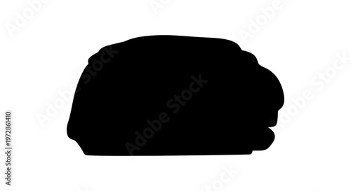 Mystery Silhouette: A dark silhouette against a pristine backdrop, creating a sense of enigma and prompting curiosity about its hidden form.