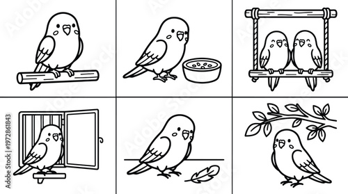 Different budgerigar birds in various poses with perch food and branch