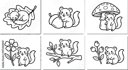 Squirrel with leaf acorn mushroom flower and branch