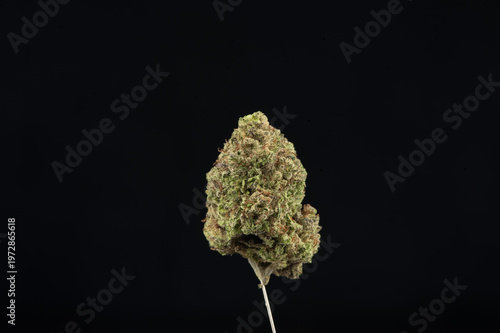 A close-up image of a cannabis bud against a solid black background, highlighting its texture and trichomes.
