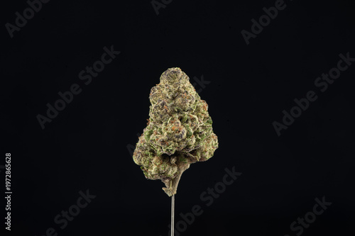 A close-up image of a cannabis bud isolated against a black background showcasing its texture and trichomes.