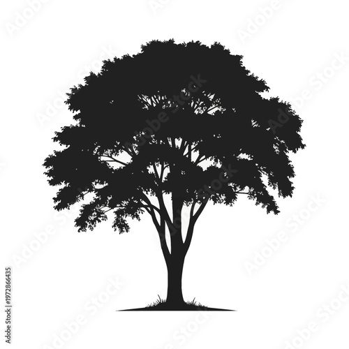 Detailed black silhouette of a large deciduous tree with a dense leafy canopy and wide branches isolated on a white background, suitable for nature and environmental design projects.