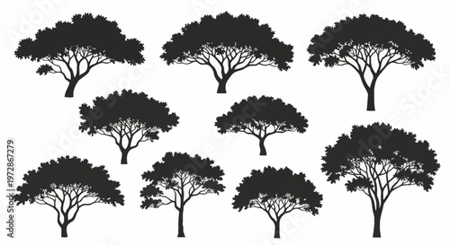 Collection of nine detailed black silhouettes of deciduous trees featuring wide spreading canopies and intricate branch structures isolated on a white background for landscape design.