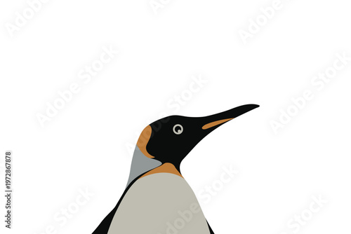 Penguin head transparent background