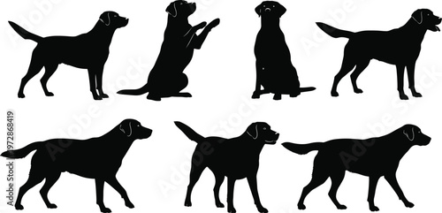 Dog silhouettes set in different poses, pet animal collection, standing sitting and walking positions, canine behavior concept vector isolated illustration