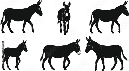 Donkey silhouette set showing different poses and walking positions, farm animal collection, rural livestock concept isolated black figures on white background