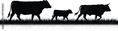 Cow and calf silhouettes walking on grass field, livestock farming scene, rural agriculture concept with cattle herd isolated on white background