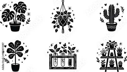 Potted monstera fiddle leaf and cactus plants with test tube seedlings and shelf of succulents