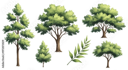 Watercolor illustration set of various green deciduous and coniferous trees with brown trunks and a single leafy branch, isolated on a white background for design elements.