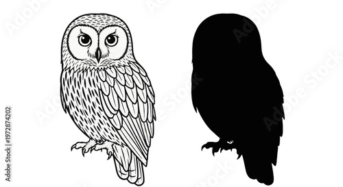 Two owl illustrations on a white background including one detailed black and white line art sketch with intricate feather patterns and one solid black bird silhouette profile.