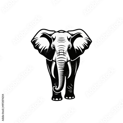 Black and white vector illustration of an African elephant standing in a frontal view, featuring large spread ears, curved tusks, and detailed trunk, isolated on white background.