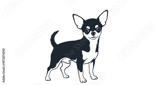 Black and white vector illustration of a smooth-coated Chihuahua dog standing in a side view pose, featuring large alert ears and big eyes, isolated on a solid white background.