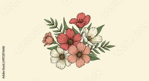 Hand-drawn vintage floral bouquet illustration featuring cosmos flowers in dusty rose, peach, and white tones with green leaves and fine black ink outlines on a cream background.