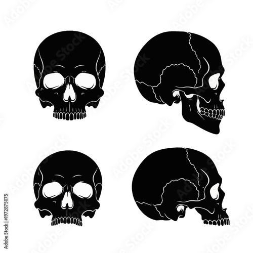 A set of four black human skull icons on a white background, featuring two frontal views and two side profile views with detailed white lines for teeth and cranial sutures.