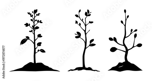Reforestation tree sapling icon set with solid black icon on white background, simple line art illustration featuring reforestation, sapling, tree with vector, design