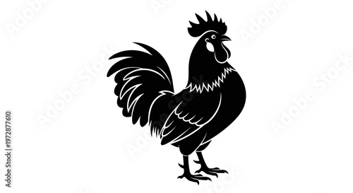 Black Silhouette of a Rooster Bird.
