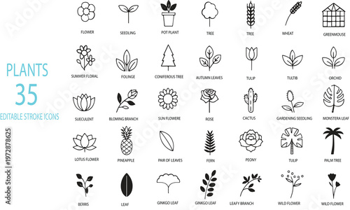 Collection of 35 editable stroke of plants and trees