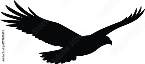 A striking silhouette of an eagle in mid flight with wings outstretched