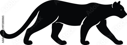A sleek black panther is walking forward in a side profile view