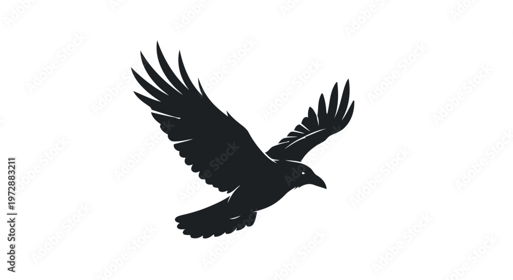 Fototapeta premium Minimalist Black Raven Silhouette Flying Isolated on White